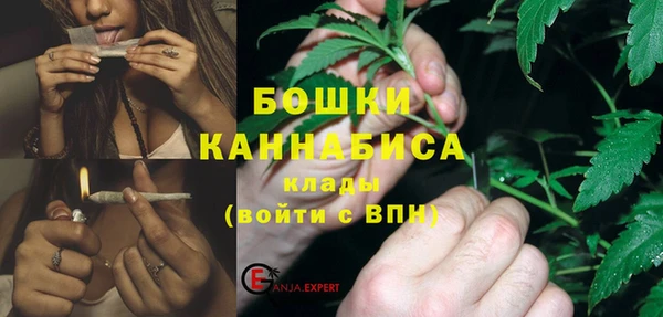 ПСИЛОЦИБИНОВЫЕ ГРИБЫ Лихославль